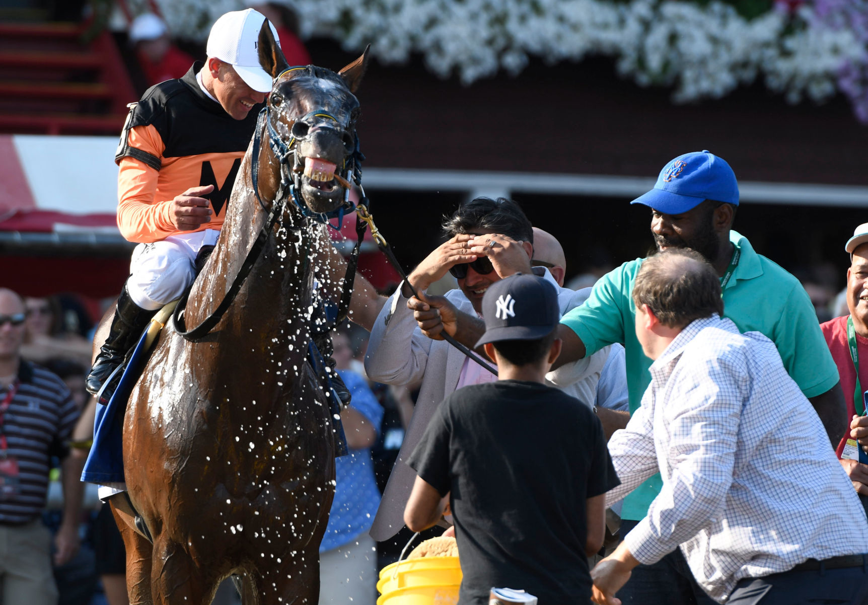 Jim Dandy